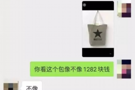 尚志融资清欠服务